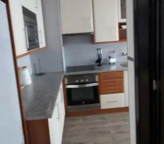 Orquidea Ponta Delgada