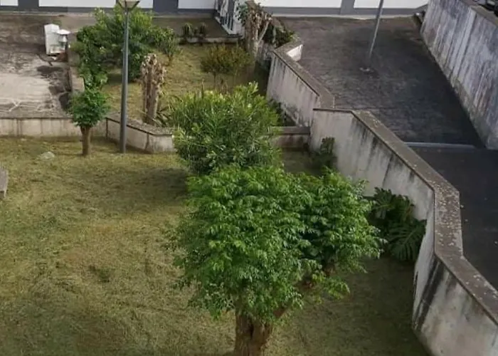 Appartement Orquidea *