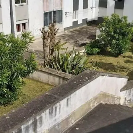 Orquídea