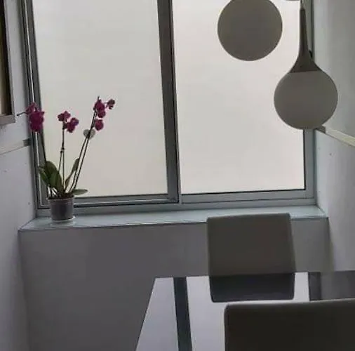 Orquidea Ponta Delgada